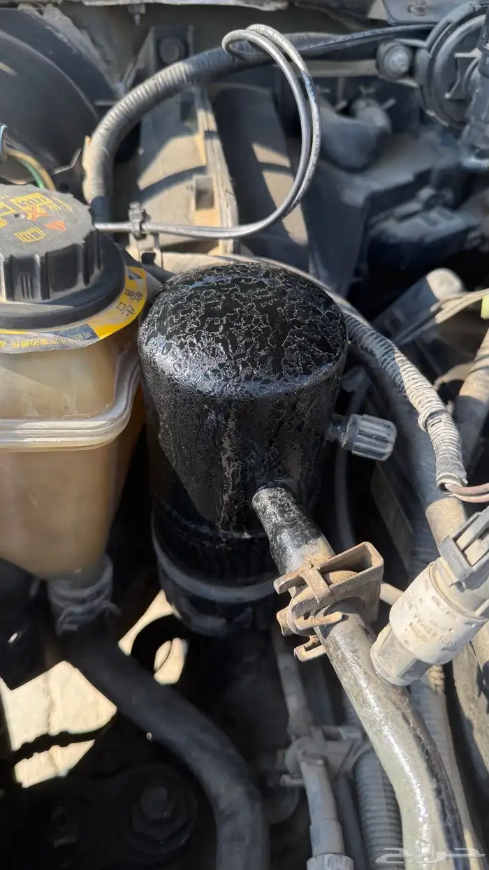 فورد ماركيز مالك ثاني   بلد 33