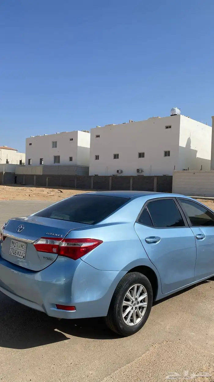 كورلا للبيع 3