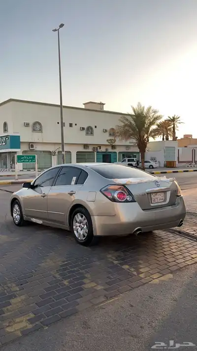 التيما على السوم مكينه مخبطه عليها رشوش متفرقه ممشى 579الف index