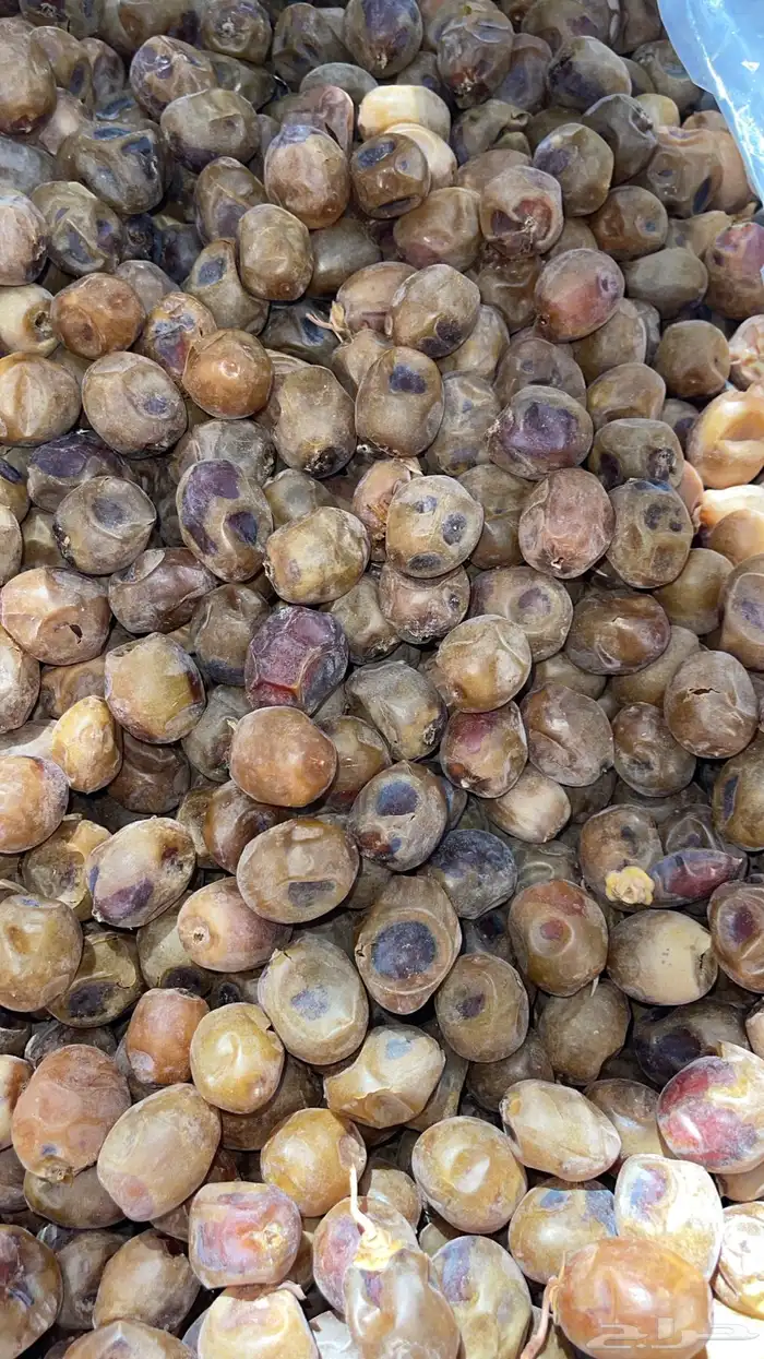 للبيع اعلاف تمور 3000 كيس 22