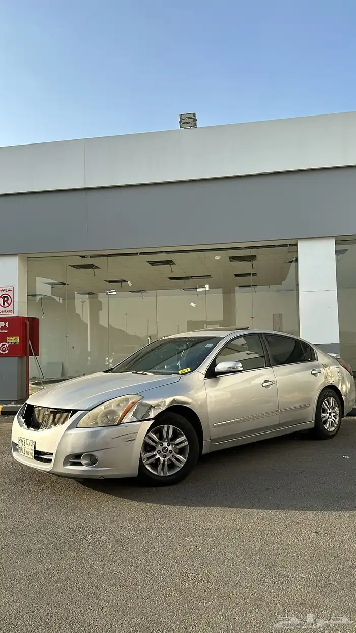 التيما فل الفل 2011 19