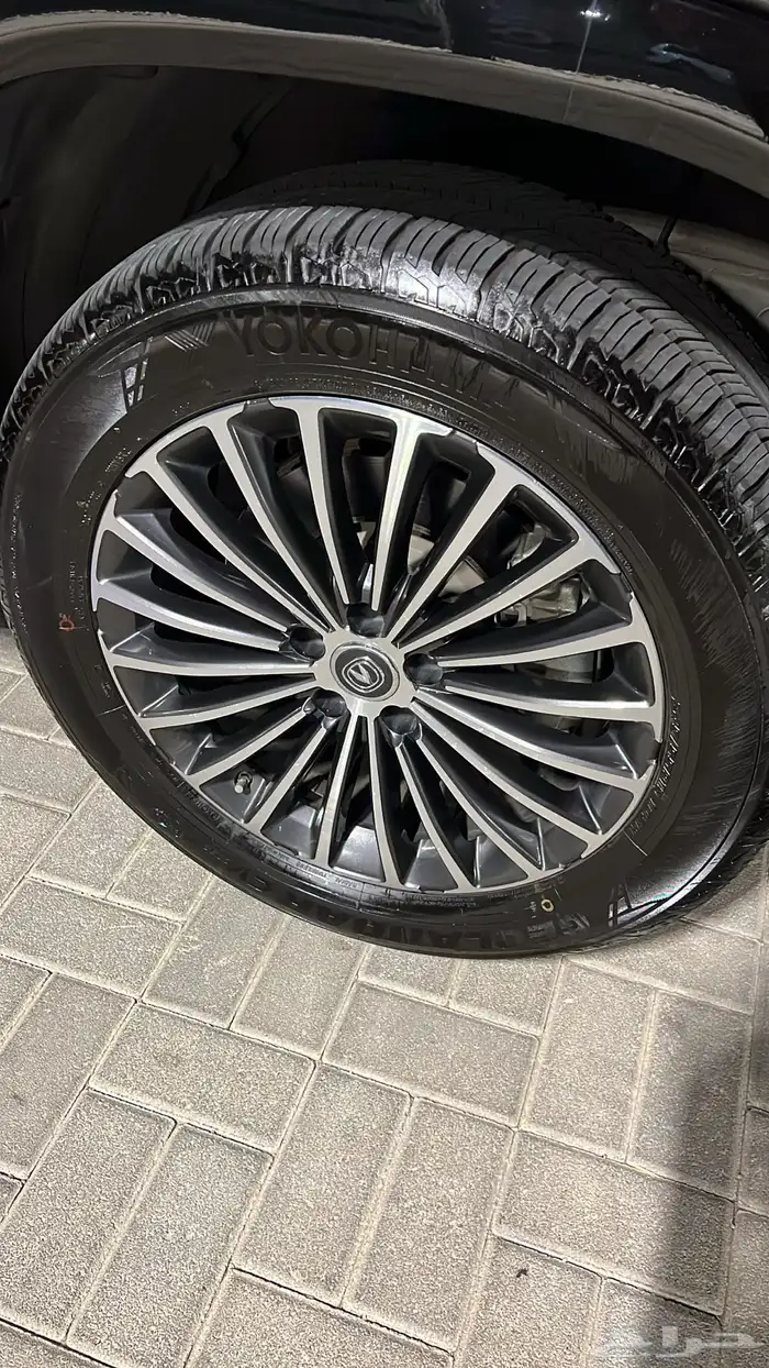 شانجان نص فل 2021 21