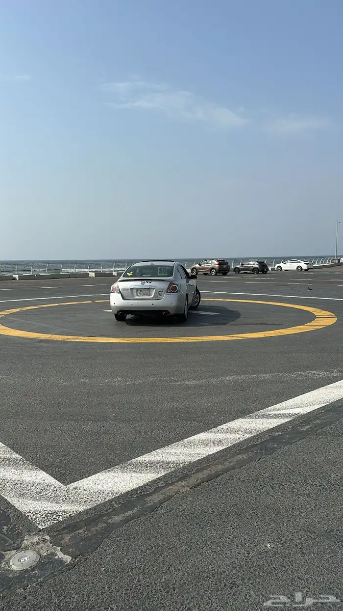 التيما فل الفل 2011 5