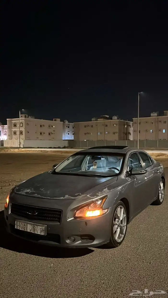 مكسيما2011 بلد 2