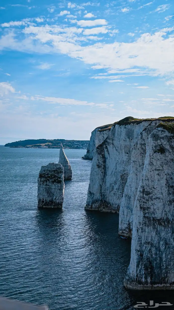 كاميرا نيكون للبيع 8