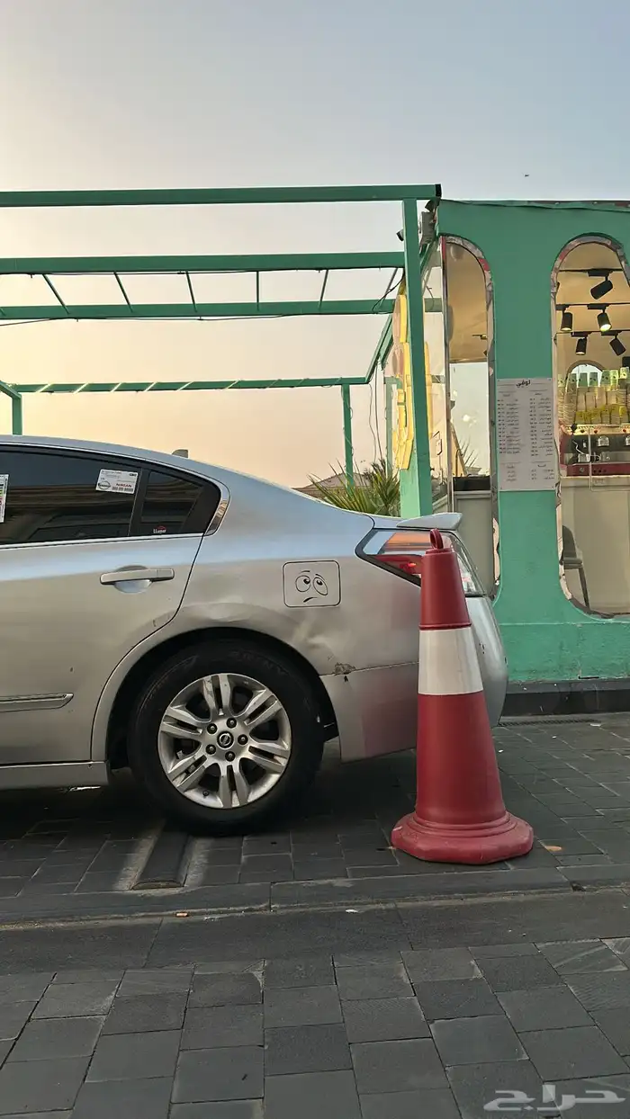 التيما فل الفل 2011 2