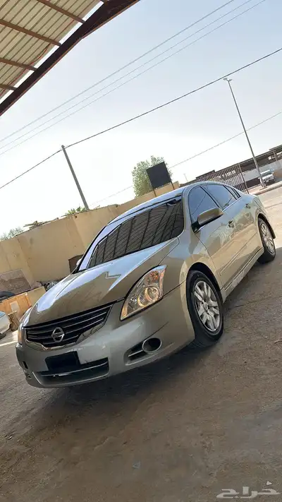 التيما على السوم مكينه مخبطه عليها رشوش متفرقه ممشى 579الف index