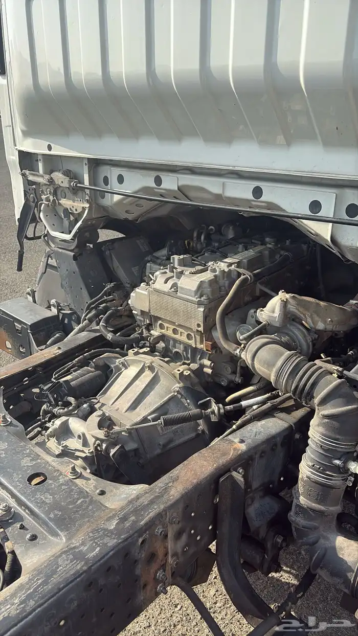 دينا ايسيزو 2020 1