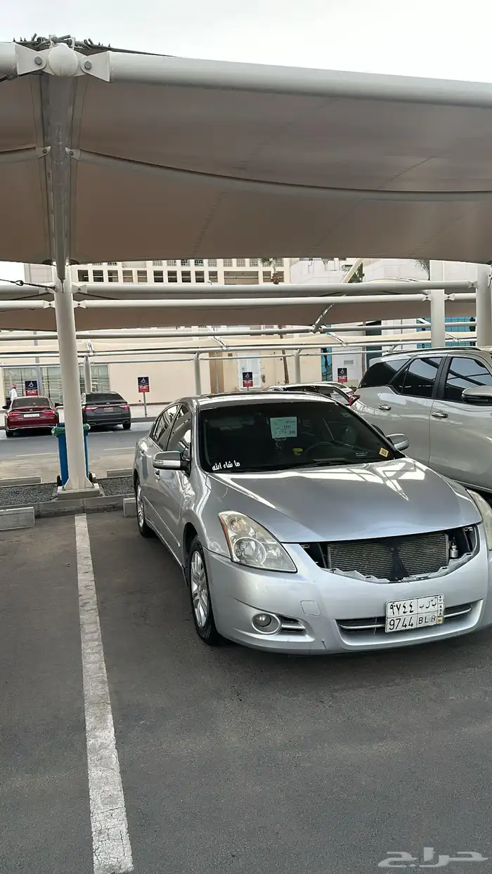 التيما فل الفل 2011 8