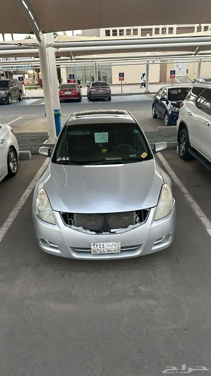 التيما فل الفل 2011 10