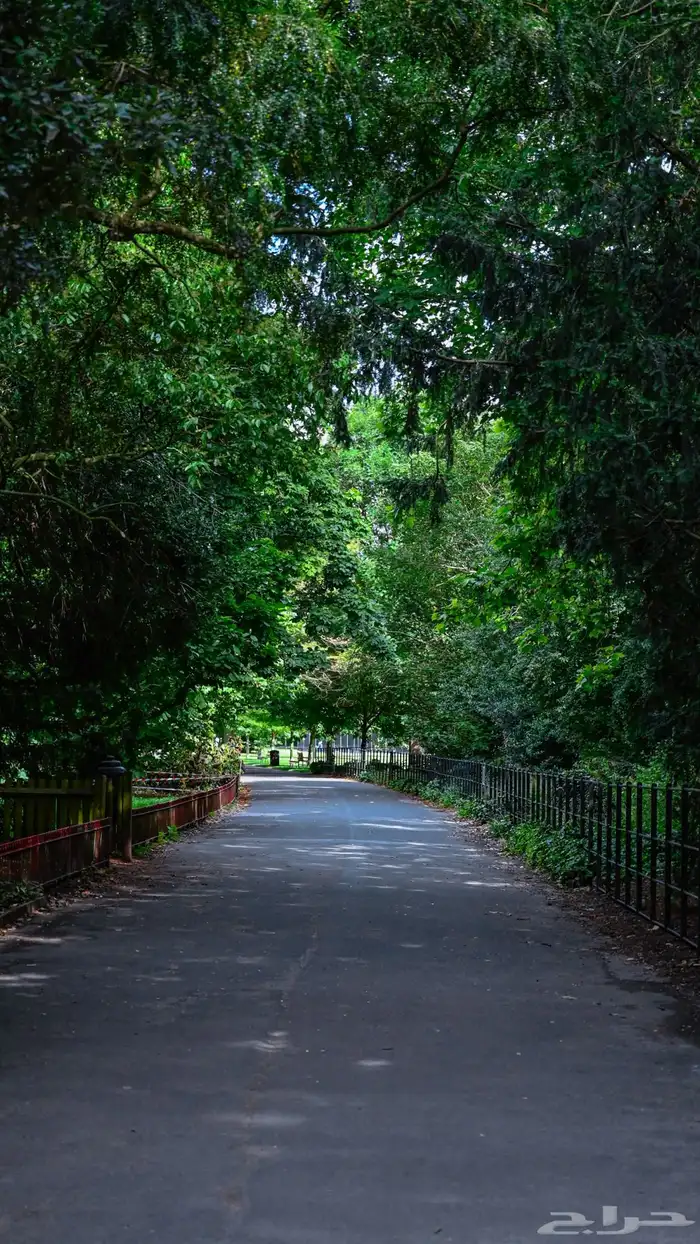 كاميرا نيكون للبيع 9