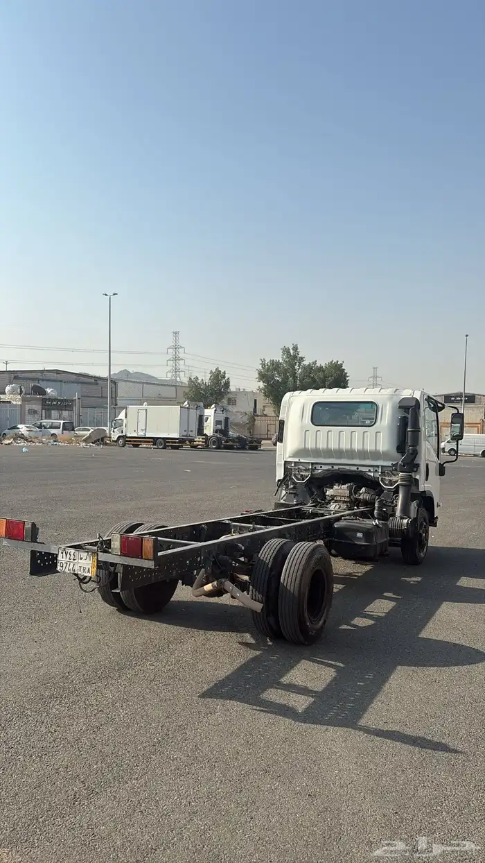 دينا ايسيزو 2020 2