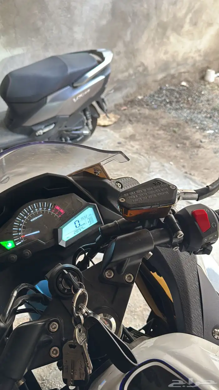 دباب ريس 250 10