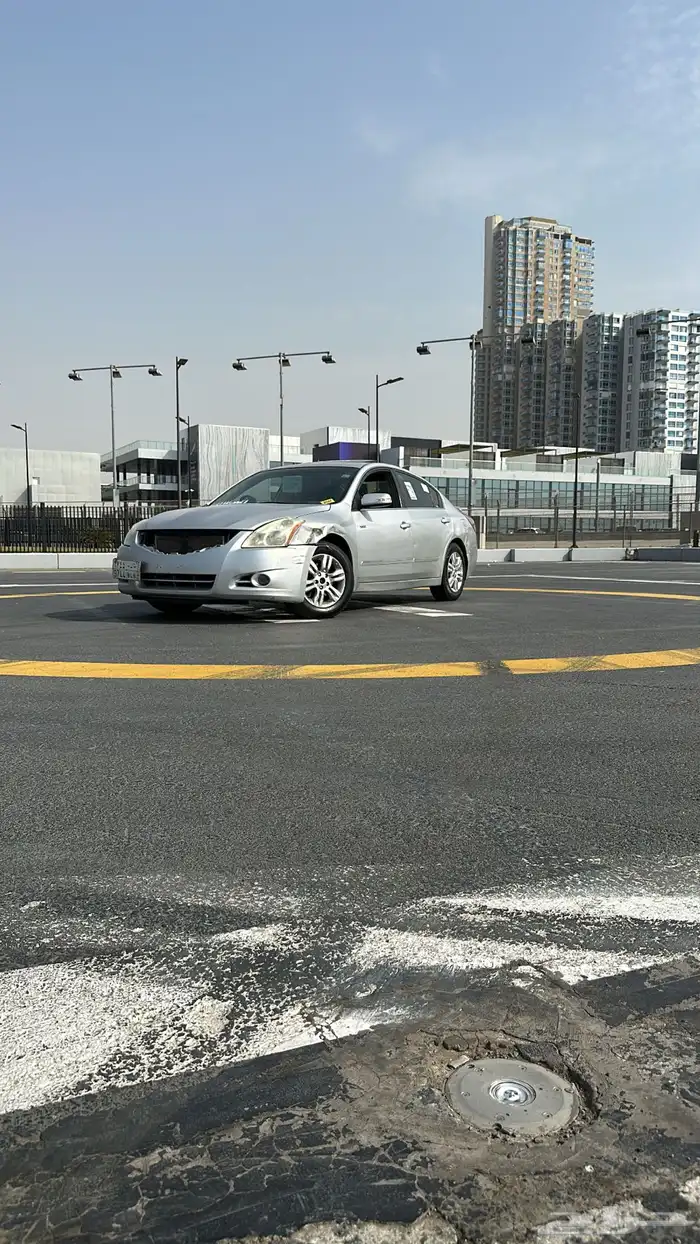 التيما فل الفل 2011 4