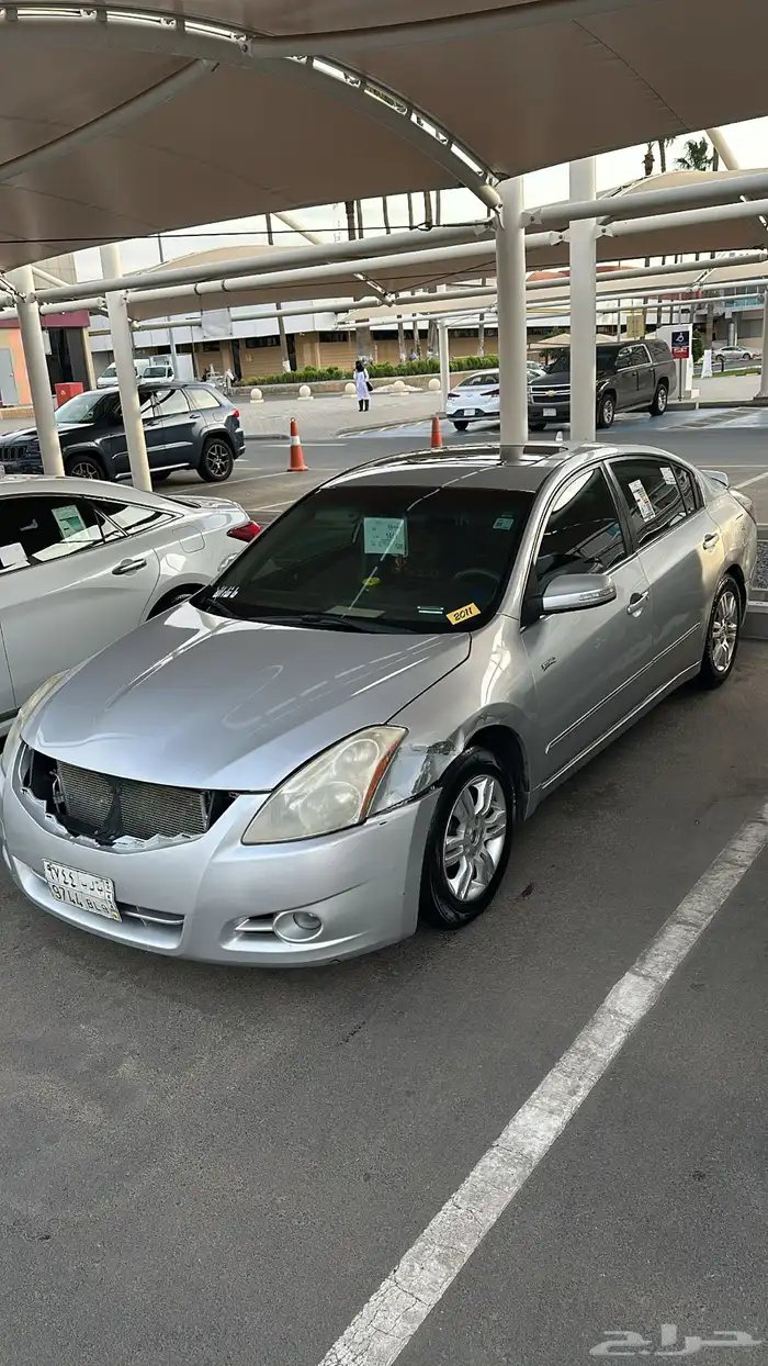 التيما فل الفل 2011 11