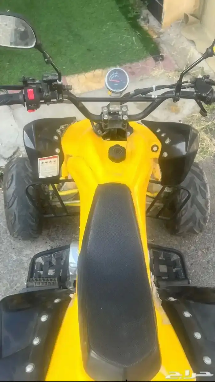 دباب فراشه شرط 3