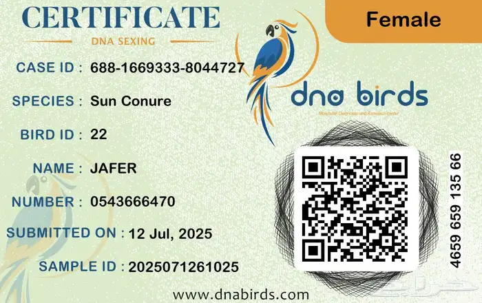 جوز صن كنيور 1