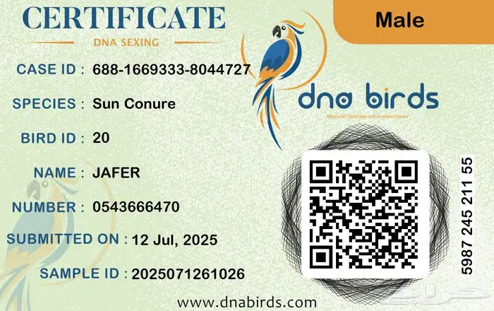 جوز صن كنيور 2