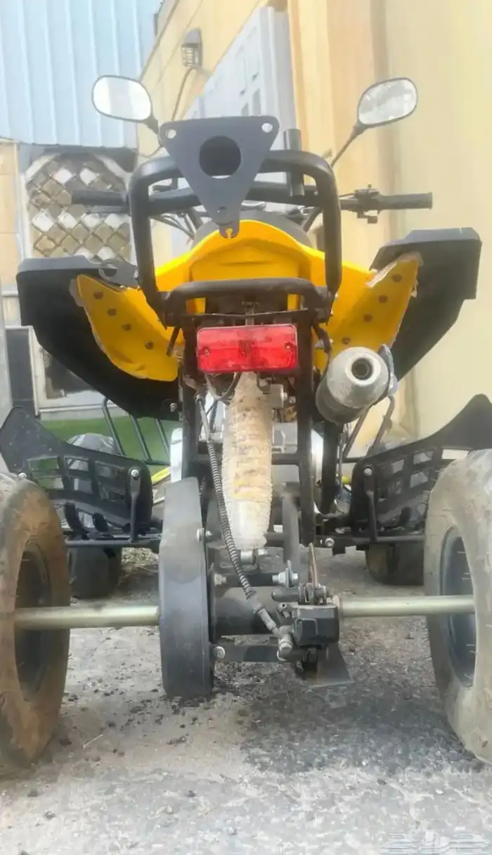 دباب فراشه شرط 4