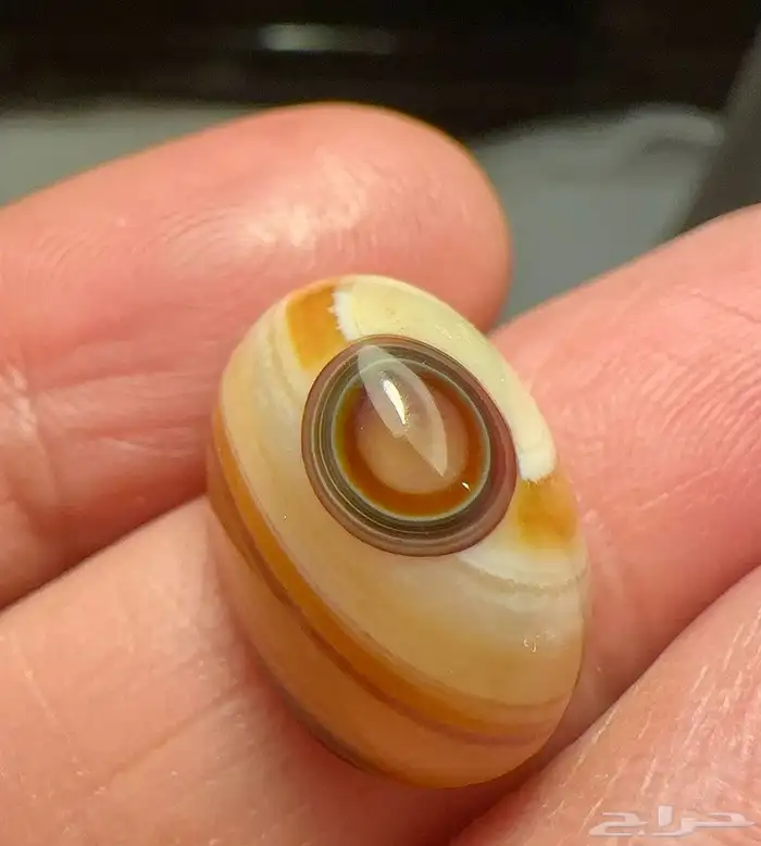 خواتم عقيق ونوادر 42