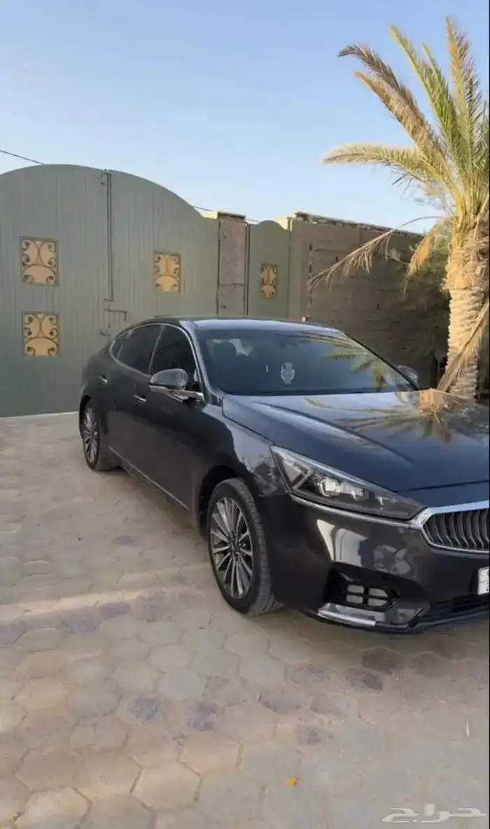 (مطلوب) كادينزا 2017-2018 0