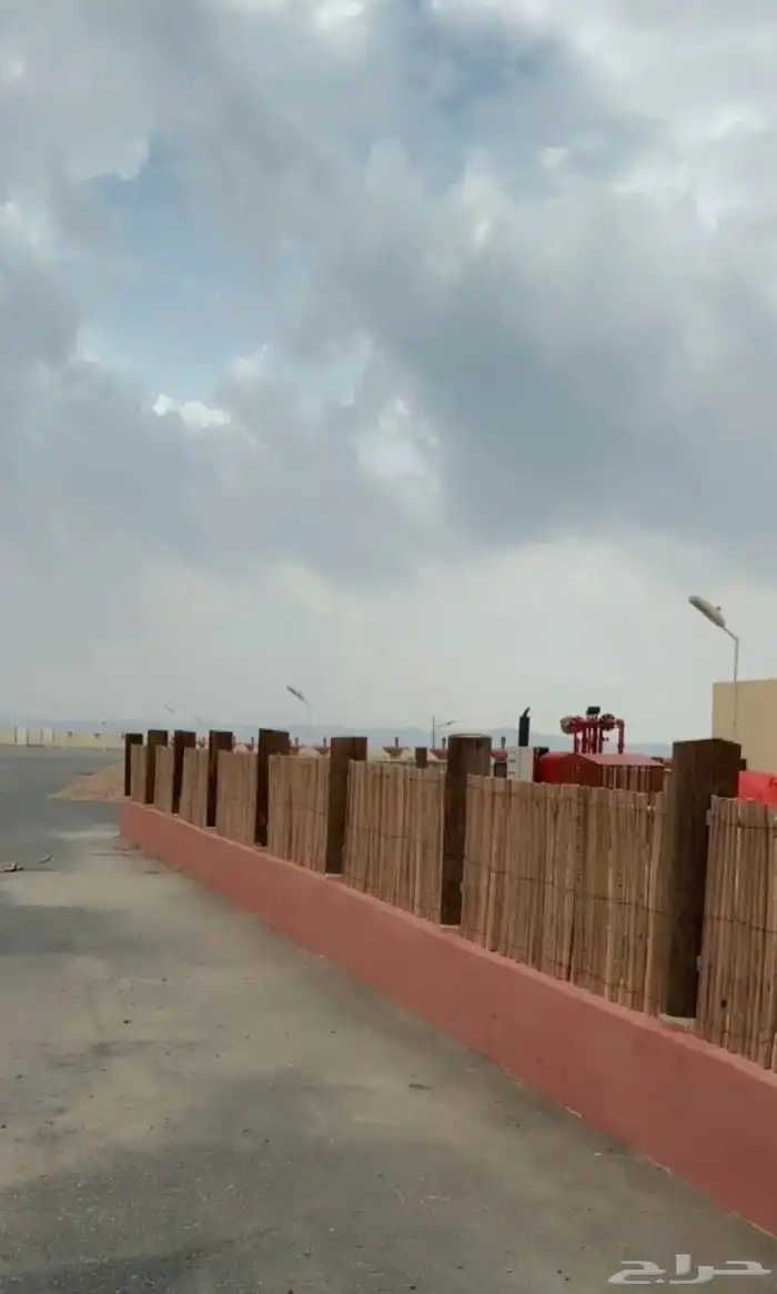 خزاز رول نخل منضوم جريد سعف للبيع يوجد توصيل لجميع المناطق 5