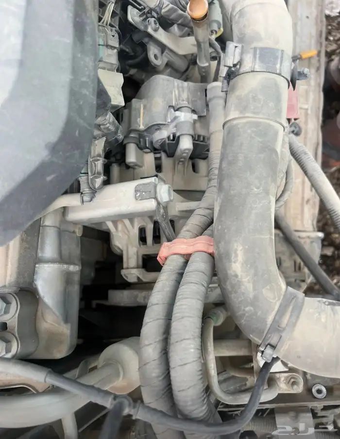 جيلي ازكاراء 23 2