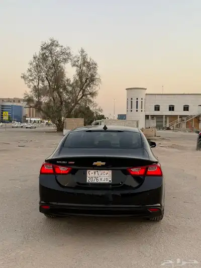 مايبو 2022 index