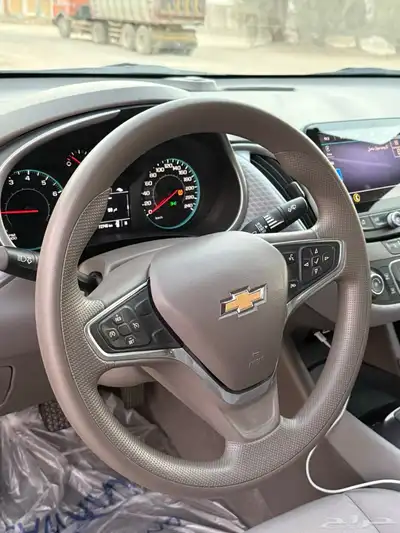 مايبو 2022 index