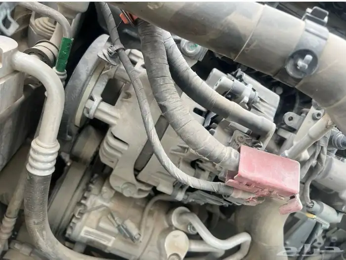 جيلي ازكاراء 23 1