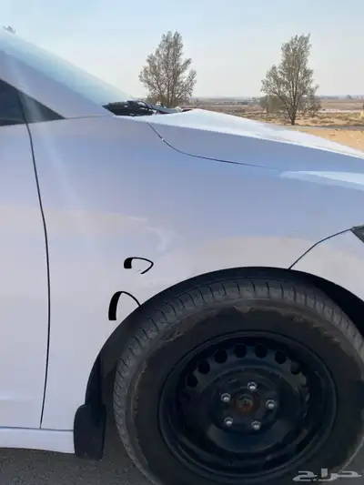 النترا ديزل أفانتي index