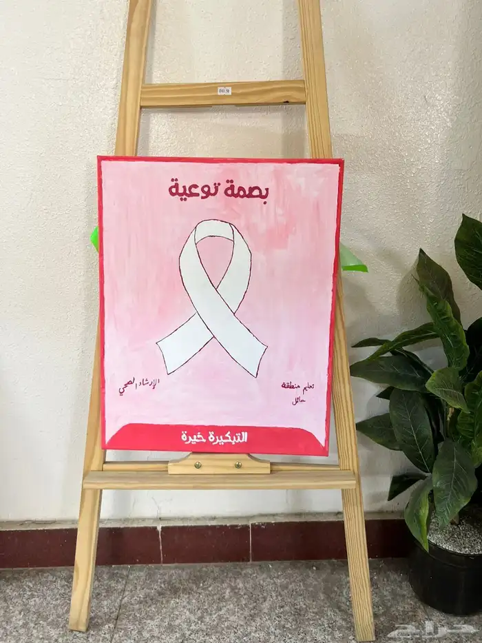 لوحات اكريلك وبراويز 3