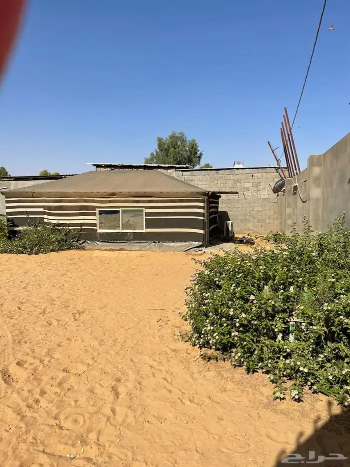 بيت شعر ملكي نضيف 0