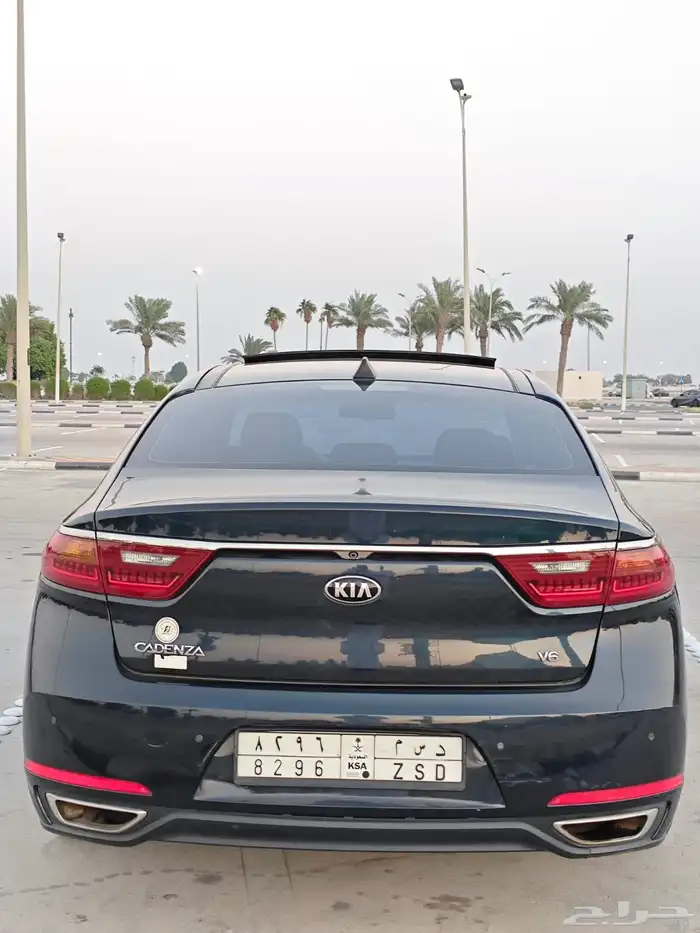 كادينزا 2018 5