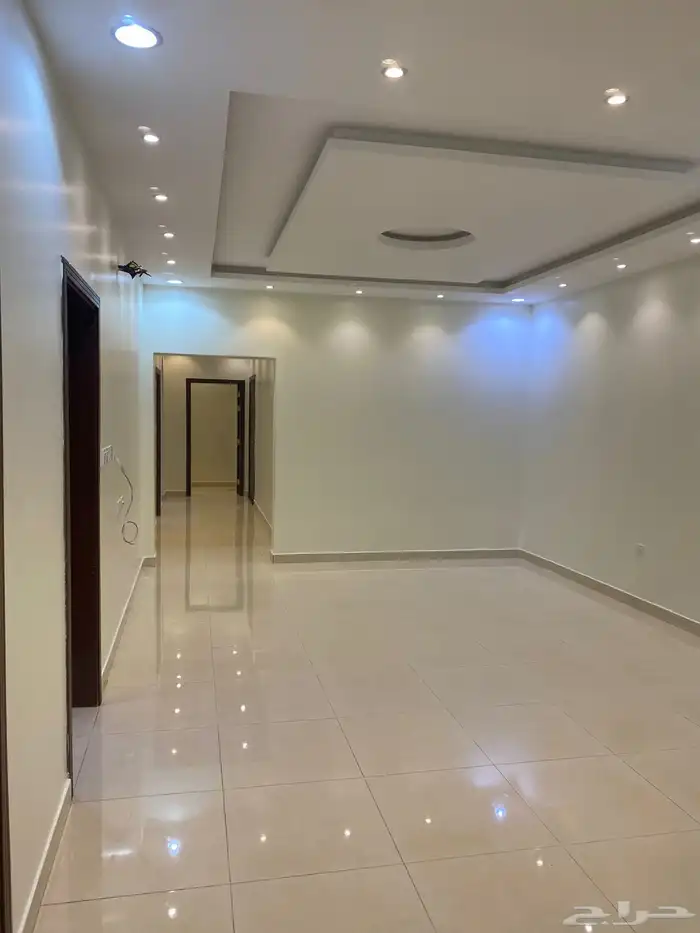 شقه للايجار 5 غرف في حي الصالحيه 0