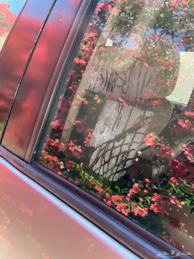 سكويا 2015 وكاله index