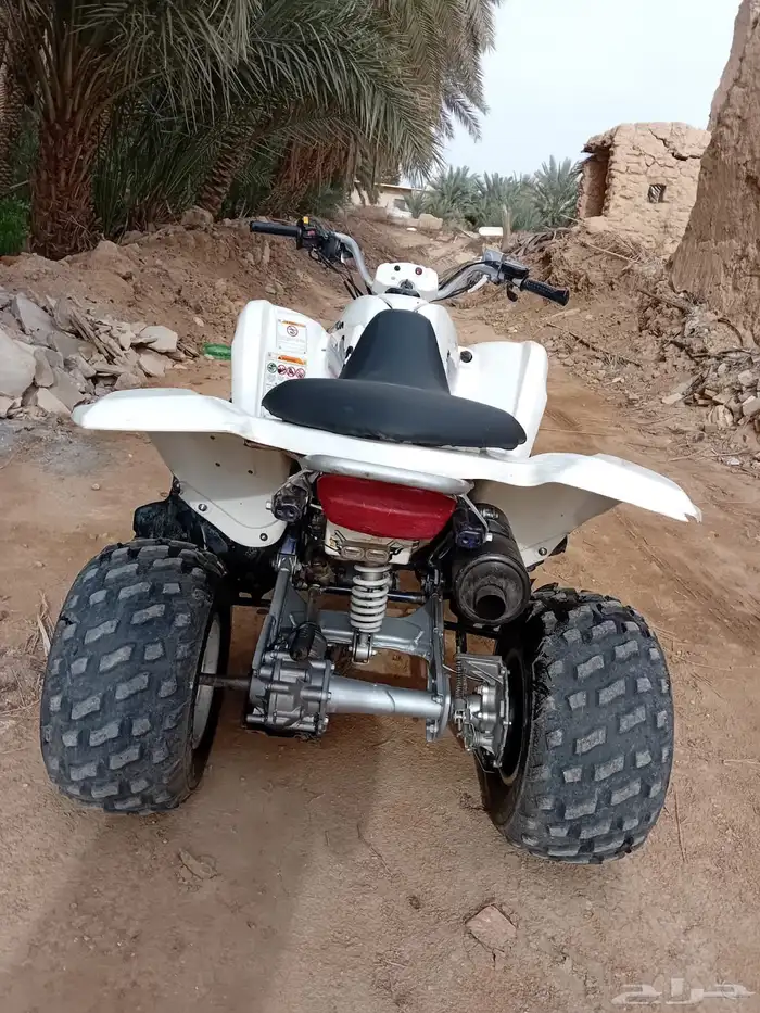 دباب سزوكي زد 250 للبيع 6