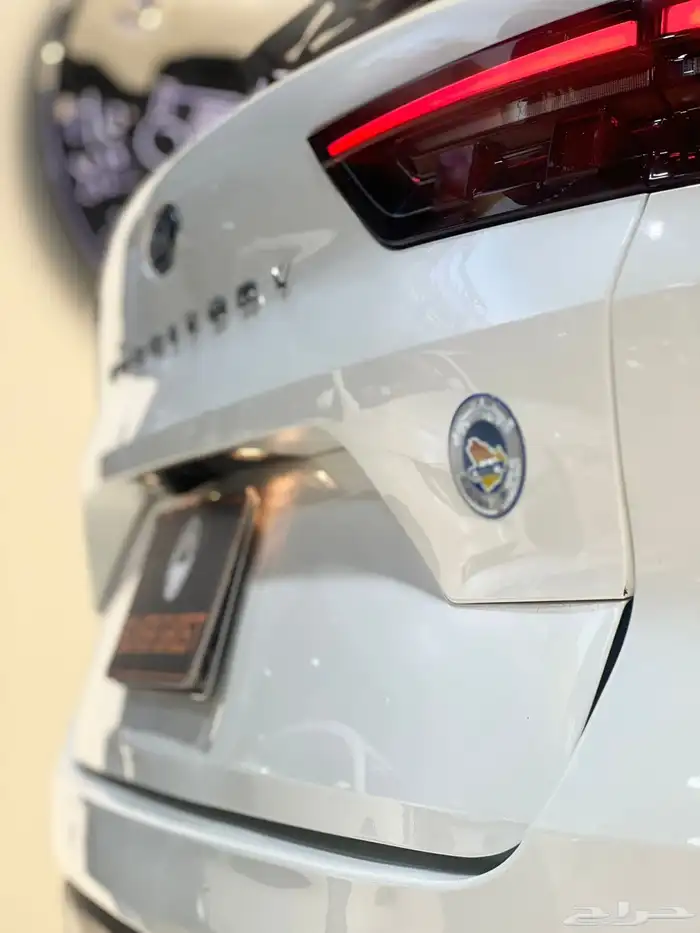 فورد تيريتوري -2023 10