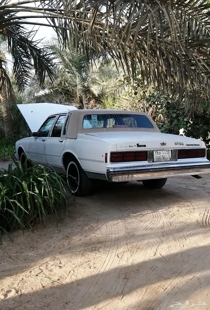 يايات كابرس 90 1