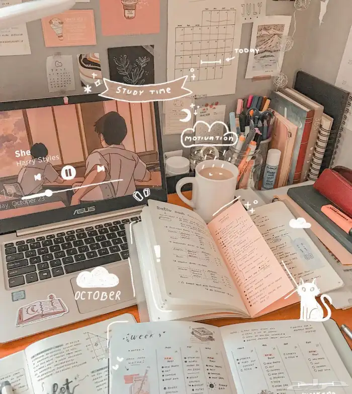 تدريس واستضافة أطفال الصفوف الابتدائية 0