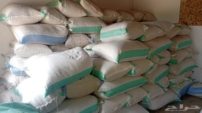 حناء ينبع النخل 1