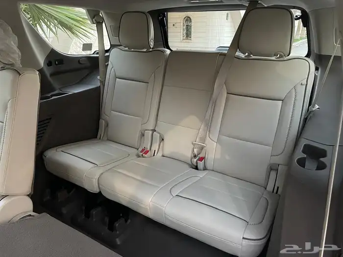 دينالي 2021 13