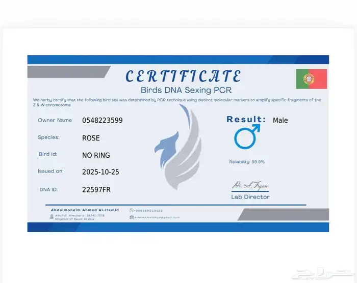 روز البينو ذكر 1