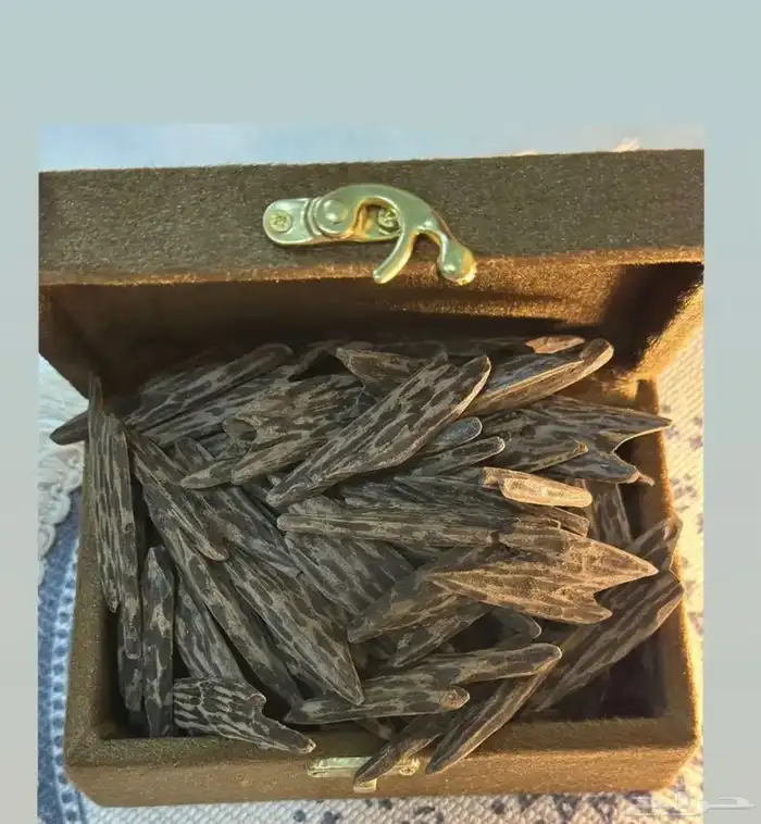 عود تايقر 6 تولات 0