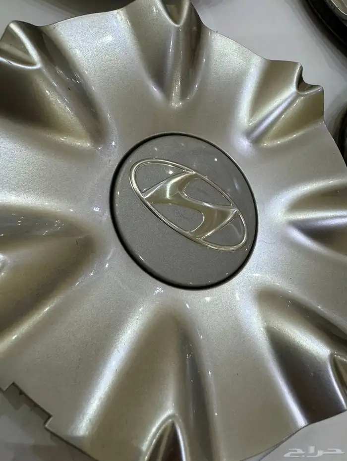 كعكات سكنرات 2