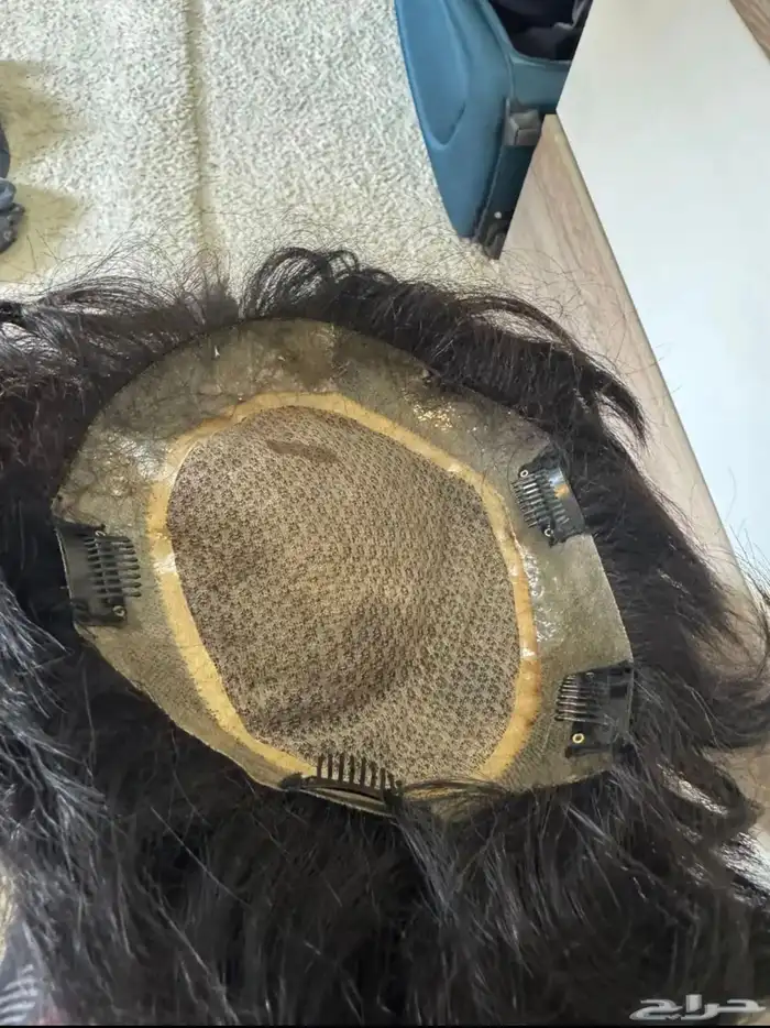 شبكية شعر استرالي 1