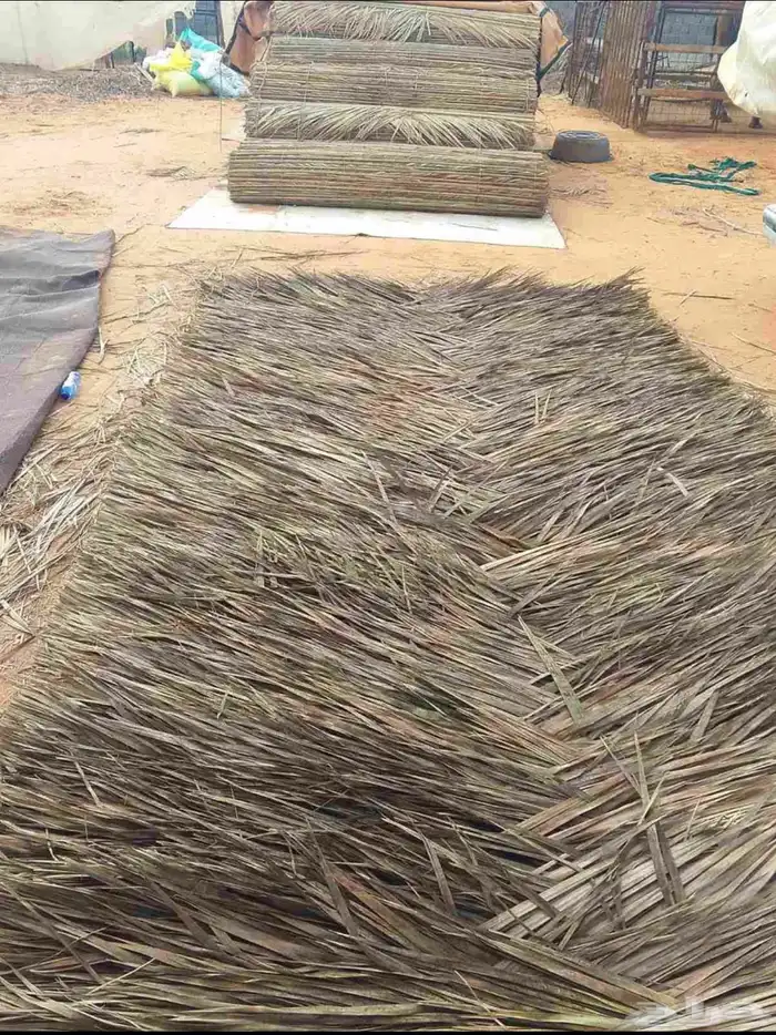 خزاز رول نخل منضوم جريد سعف للبيع يوجد توصيل لجميع المناطق 8