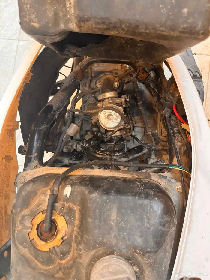 دباب سوزوكي ادرس 0