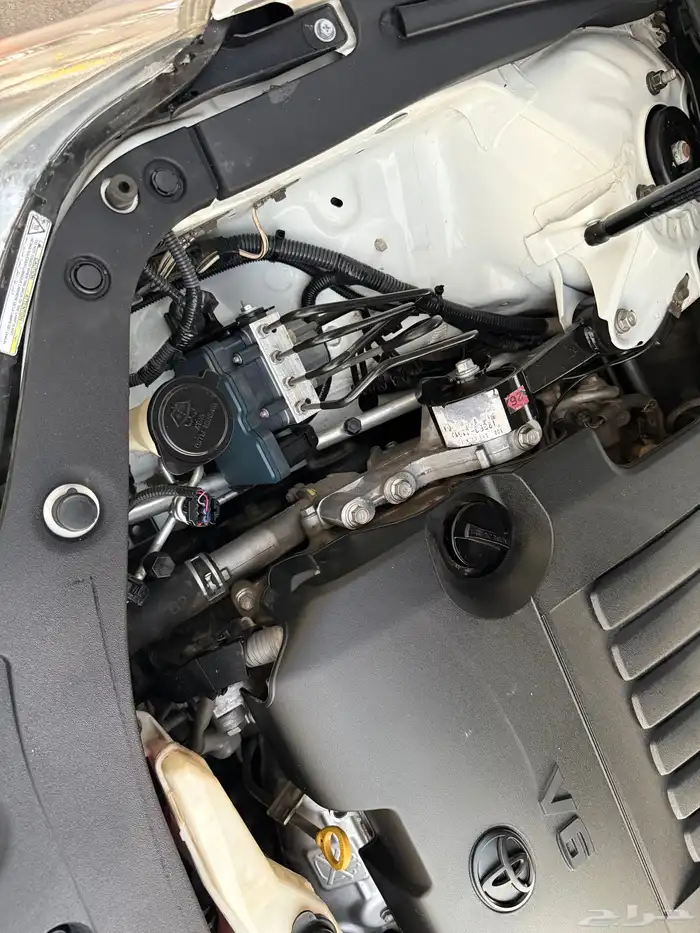 افالون 2014 قمة بالنظافة ممشى قليل 32