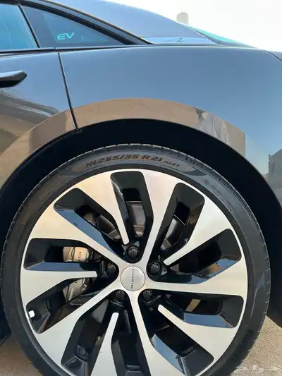 لوسيد تورنق مخزن index